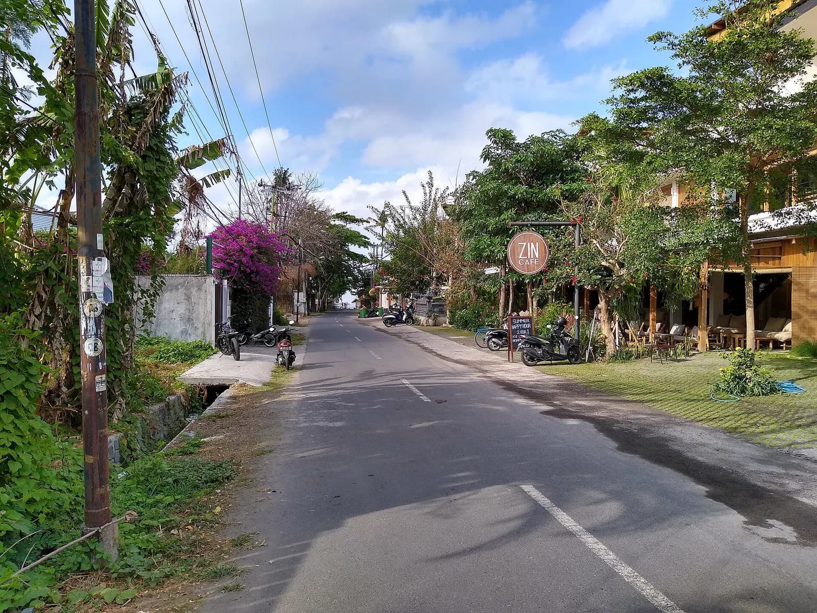 A quiet street in Canggu, with palms and low buildings along the road.